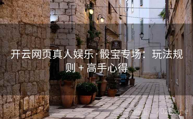 开云网页真人娱乐·骰宝专场:玩法规则 + 高手心得