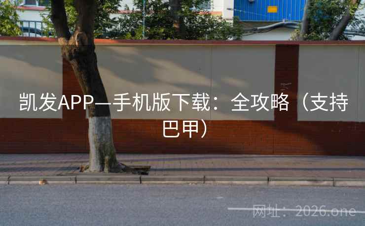 凯发APP—手机版下载:全攻略(支持巴甲) 凯发APP—手机版下载:全攻略(支持巴甲)