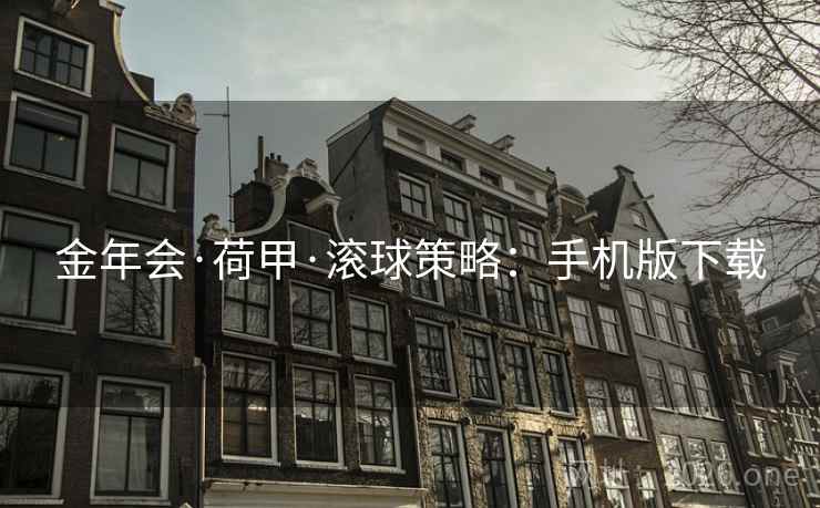 金年会·荷甲·滚球策略:手机版下载 金年会·荷甲·滚球策略:手机版下载