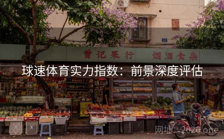球速体育实力指数:前景深度评估 球速体育实力指数:前景深度评估