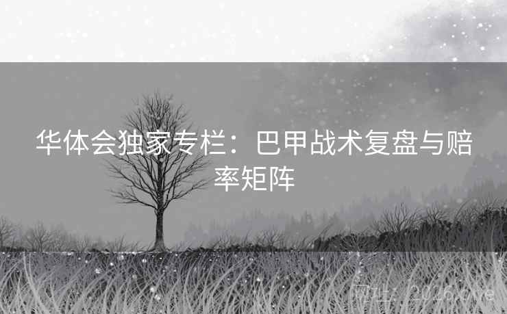 华体会独家专栏:巴甲战术复盘与赔率矩阵 华体会独家专栏:巴甲战术复盘与赔率矩阵