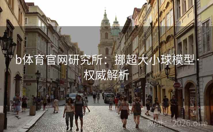 b体育官网研究所:挪超大小球模型·权威解析
