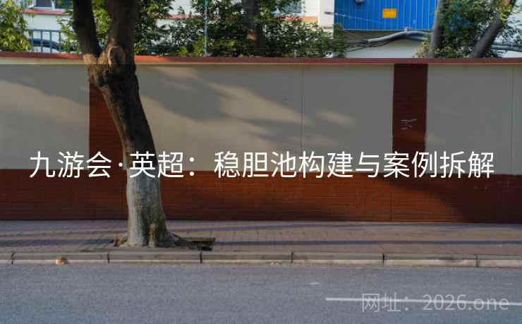 九游会·英超：稳胆池构建与案例拆解