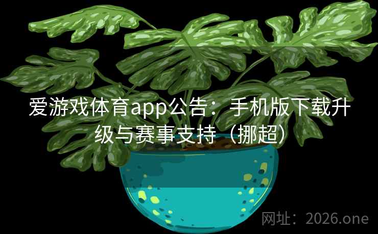 爱游戏体育app公告:手机版下载升级与赛事支持(挪超) 爱游戏体育app公告:手机版下载升级与赛事支持(挪超)