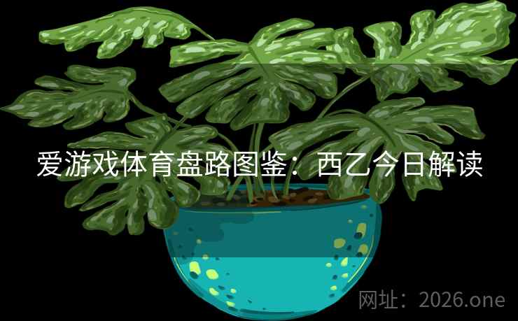 爱游戏体育盘路图鉴：西乙今日解读