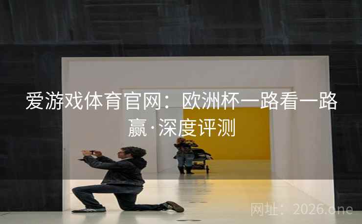 爱游戏体育官网：欧洲杯一路看一路赢·深度评测