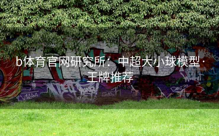 b体育官网研究所:中超大小球模型·王牌推荐